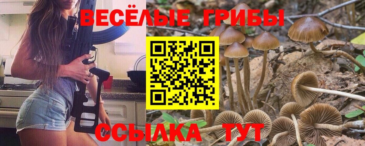 Галлюциногенные грибы ЛСД Сарапул