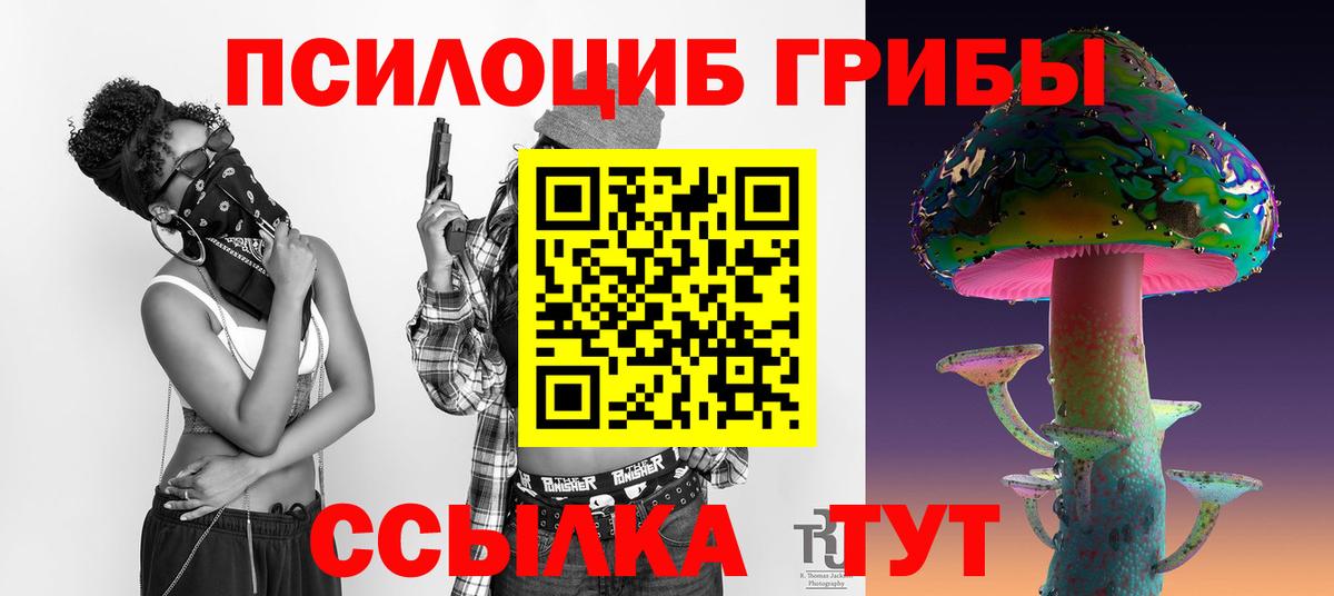 где купить   Вход с VPN  Сарапул  Псилоцибиновые грибы Cubensis 